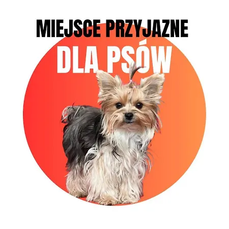 Przy Plazy *
