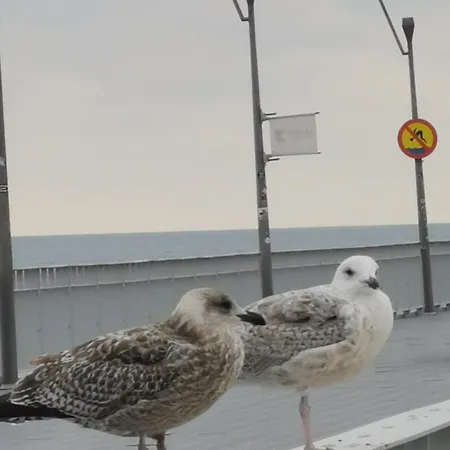 Przy Plazy Kolobrzeg