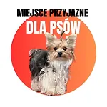 Przy Plazy *