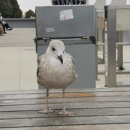 Apartmán Przy Plazy Kolobřeh