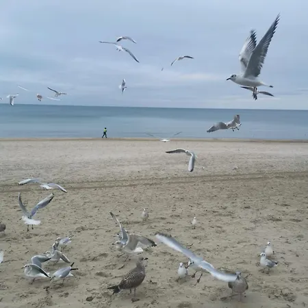 Przy Plazy Apartmán *