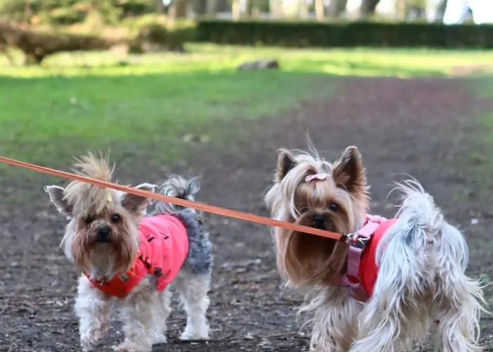 Apartmán Przy Plazy