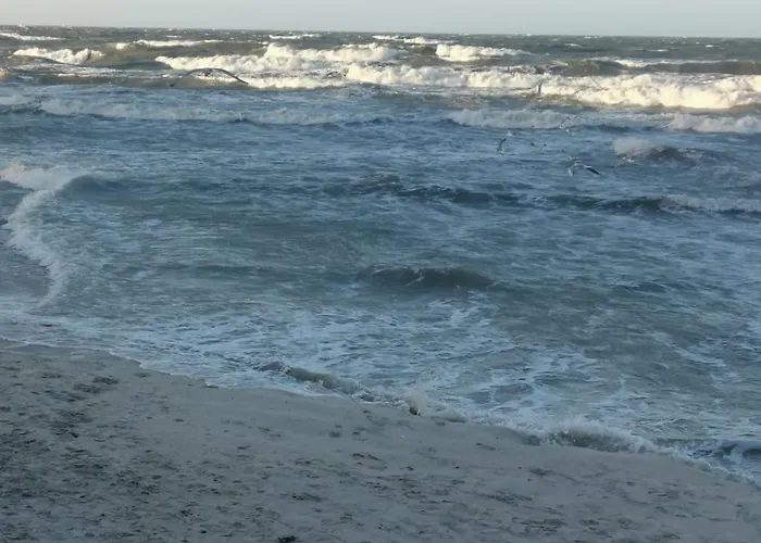 Przy Plazy Kolobřeh