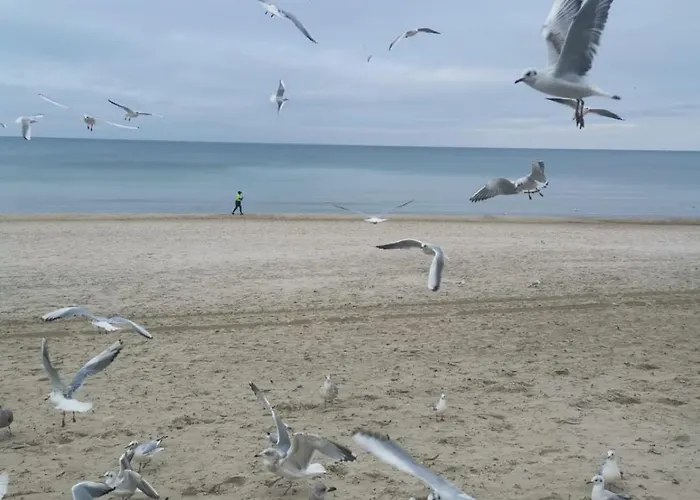 Przy Plazy Apartmán *